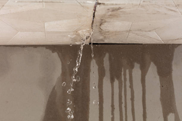 Professional Commercial Water Damage Restoration technician working in Wilson's Mills, NC